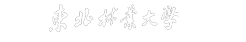 世界杯网址